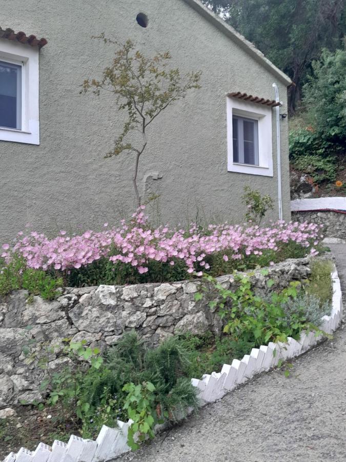 Manteshouse Βίλα Παλαιοκαστρίτσα Εξωτερικό φωτογραφία